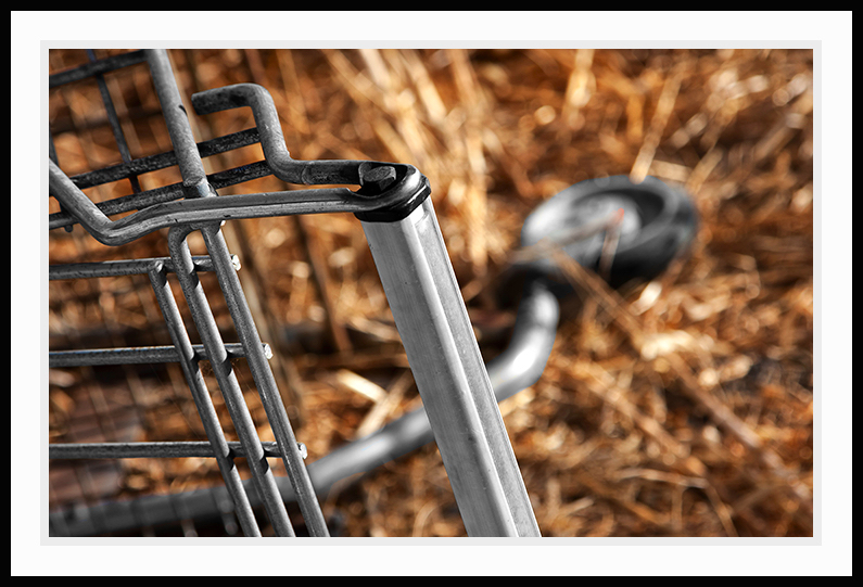 Close-up of a hidden shopping cart.